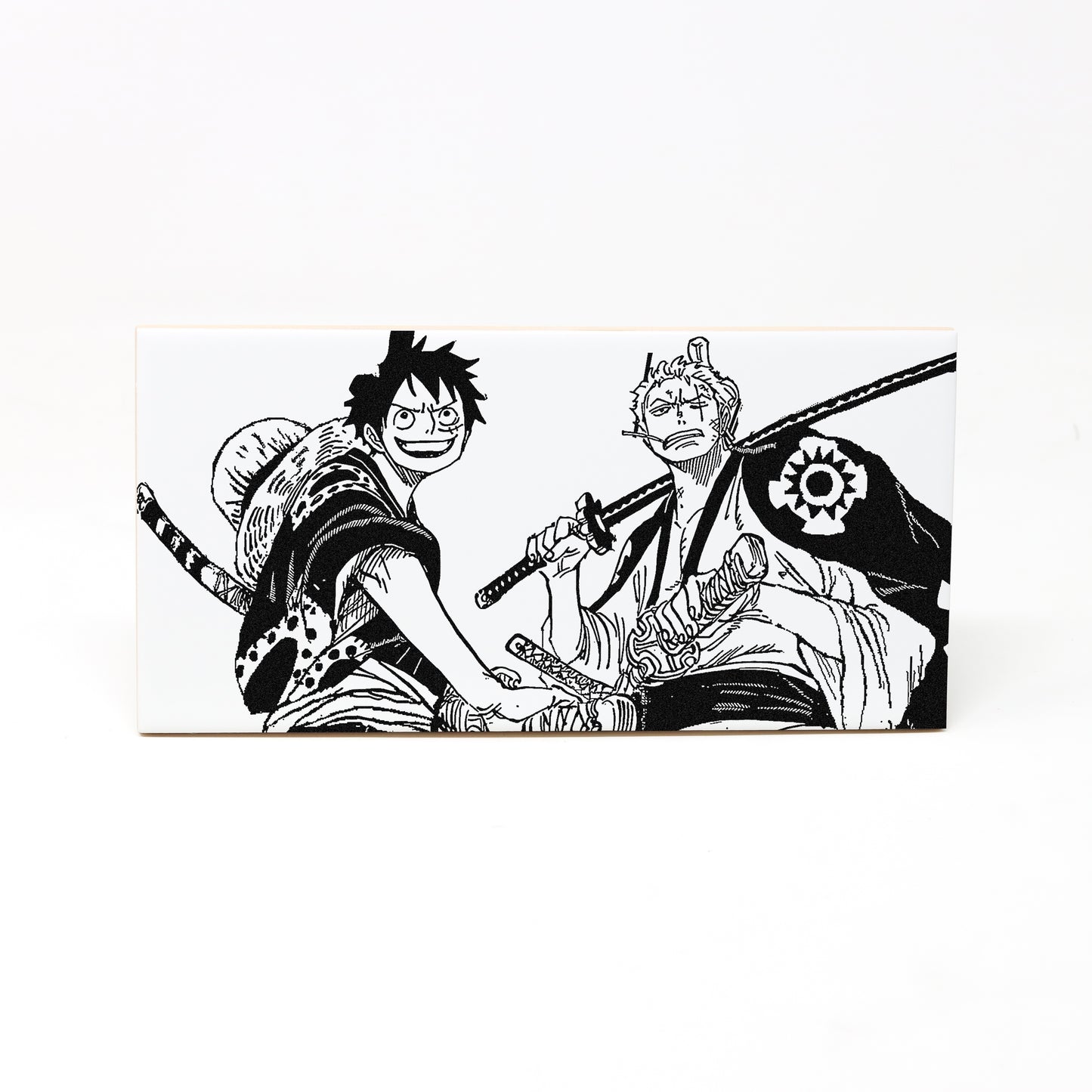 Luffy and Zoro